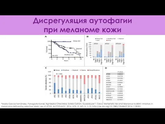 Дисрегуляция аутофагии при меланоме кожи *María García-Fernández, Panagiotis Karras, Agnieszka Checinska,