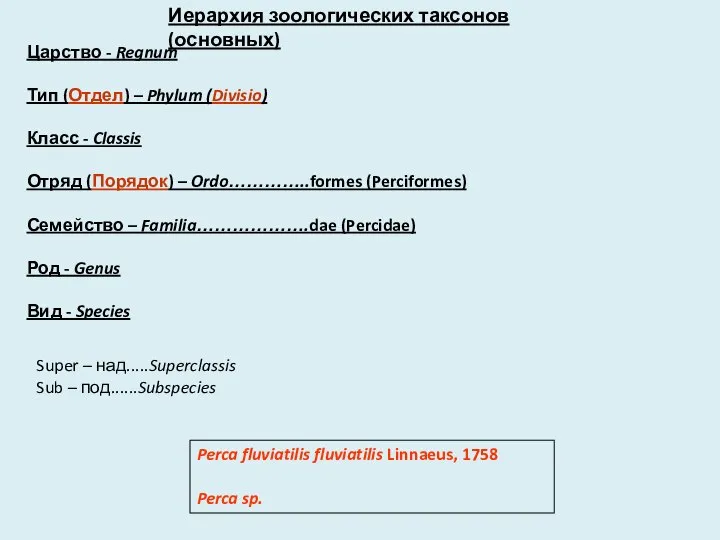 Царство - Regnum Тип (Отдел) – Phylum (Divisio) Класс - Classis