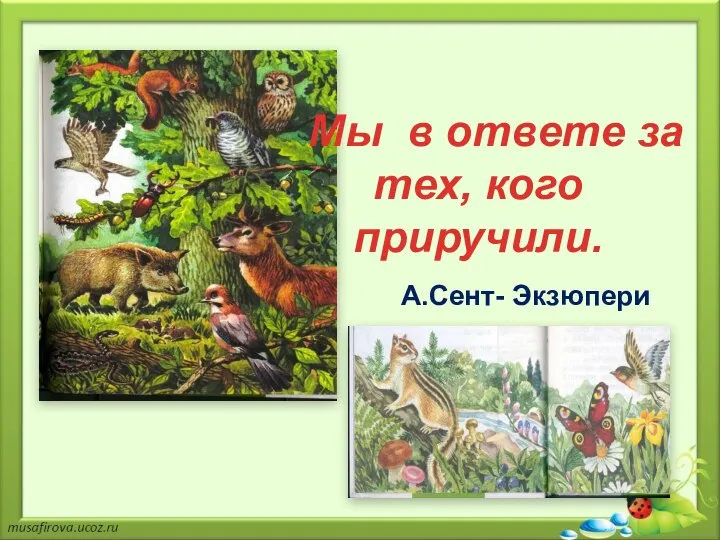 Мы в ответе за тех, кого приручили. А.Сент- Экзюпери