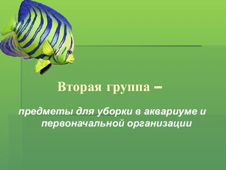 Вторая группа – предметы для уборки в аквариуме и первоначальной организации