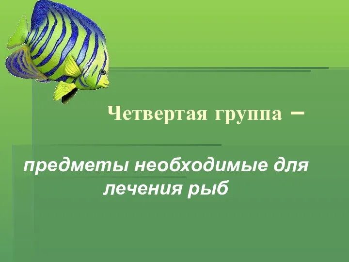 Четвертая группа – предметы необходимые для лечения рыб