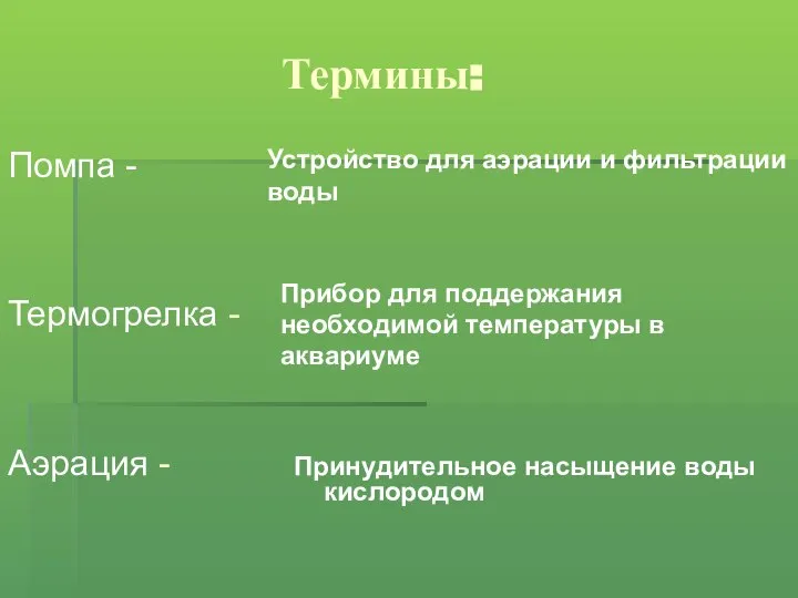 Термины: Помпа - Термогрелка - Аэрация - Устройство для аэрации и