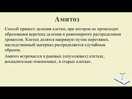 Амитоз Способ прямого деления клетки, при котором не происходит образования веретена