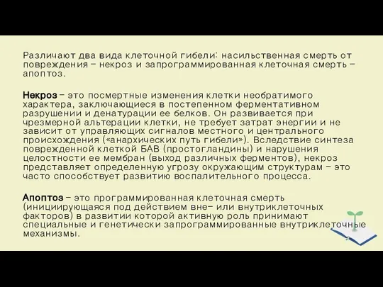 Различают два вида клеточной гибели: насильственная смерть от повреждения – некроз