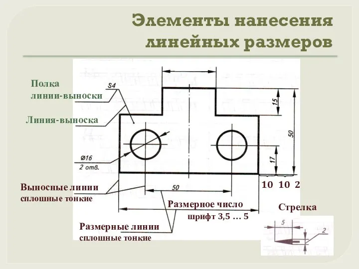 Элементы нанесения линейных размеров Выносные линии сплошные тонкие Размерные линии сплошные