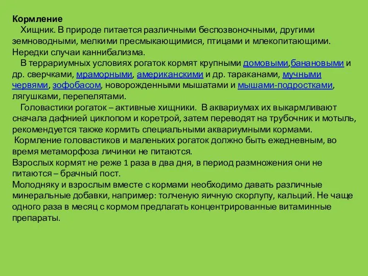 Кормление Хищник. В природе питается различными беспозвоночными, другими земноводными, мелкими пресмыкающимися,