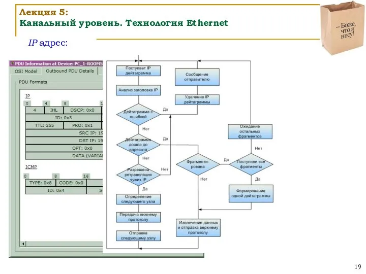 IP адрес: Лекция 5: Канальный уровень. Технология Ethernet