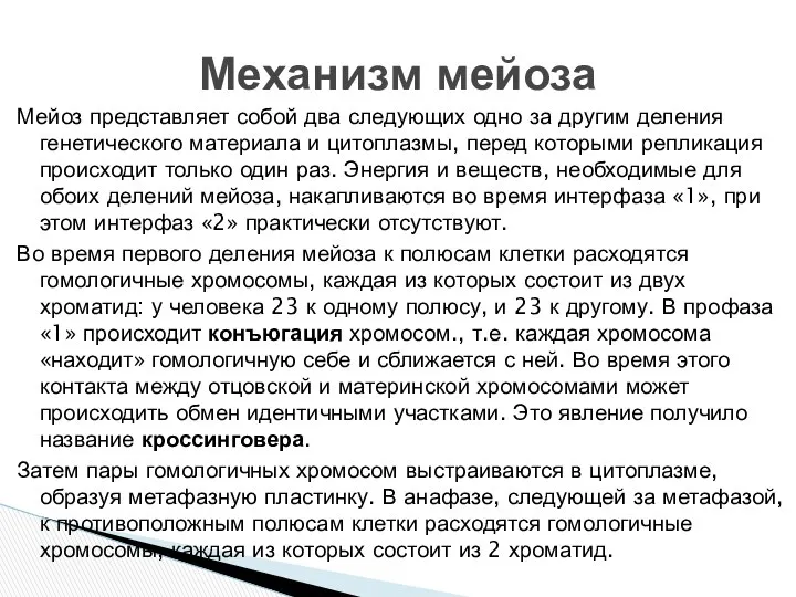 Мейоз представляет собой два следующих одно за другим деления генетического материала