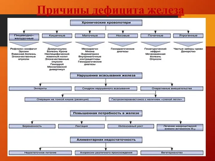 Причины дефицита железа