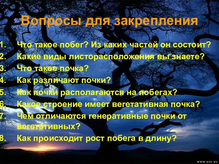 Вопросы для закрепления Что такое побег? Из каких частей он состоит?