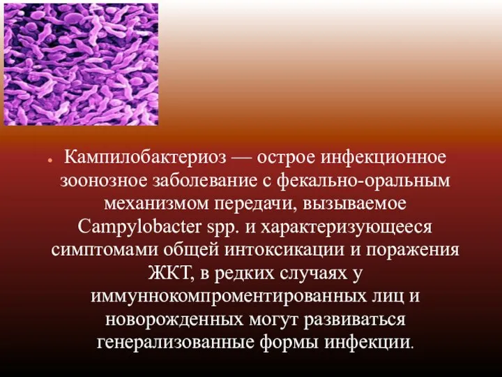 Кампилобактериоз — острое инфекционное зоонозное заболевание с фекально-оральным механизмом передачи, вызываемое
