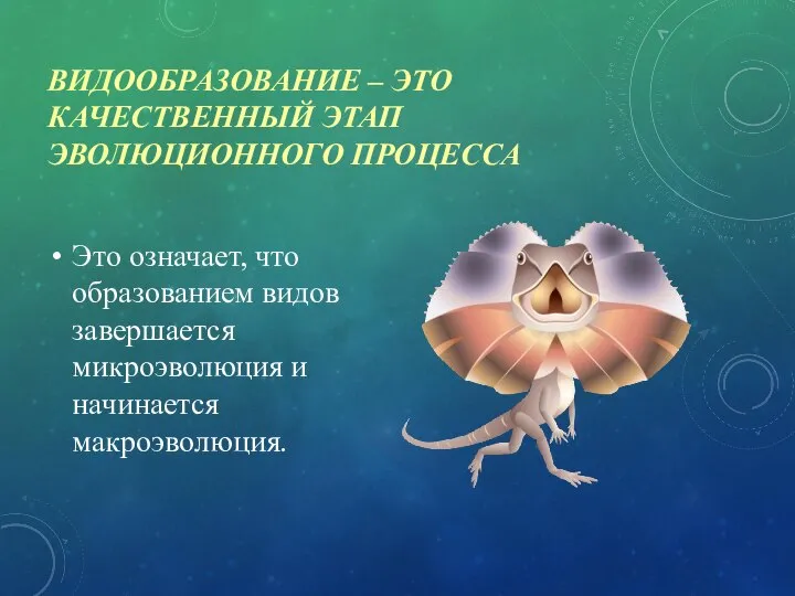 ВИДООБРАЗОВАНИЕ – ЭТО КАЧЕСТВЕННЫЙ ЭТАП ЭВОЛЮЦИОННОГО ПРОЦЕССА Это означает, что образованием