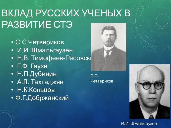 С.С Четвериков И.И. Шмальгаузен Н.В. Тимофеев-Ресовский Г.Ф. Гаузе Н.П.Дубинин А.Л. Тахтаджян