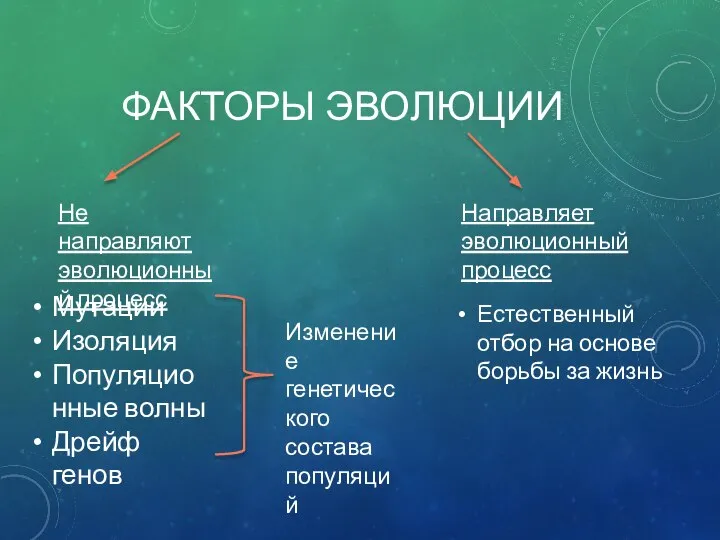 ФАКТОРЫ ЭВОЛЮЦИИ Не направляют эволюционный процесс Направляет эволюционный процесс Мутации Изоляция