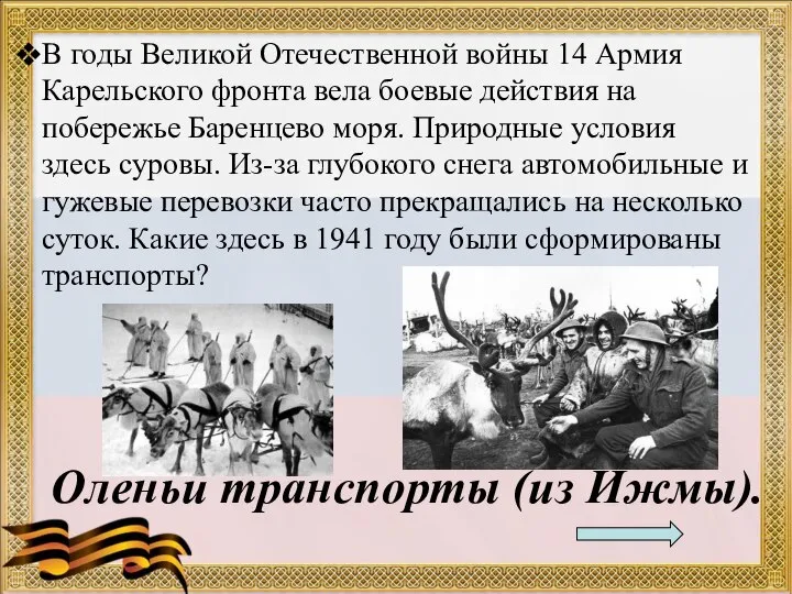 Оленьи транспорты (из Ижмы). В годы Великой Отечественной войны 14 Армия