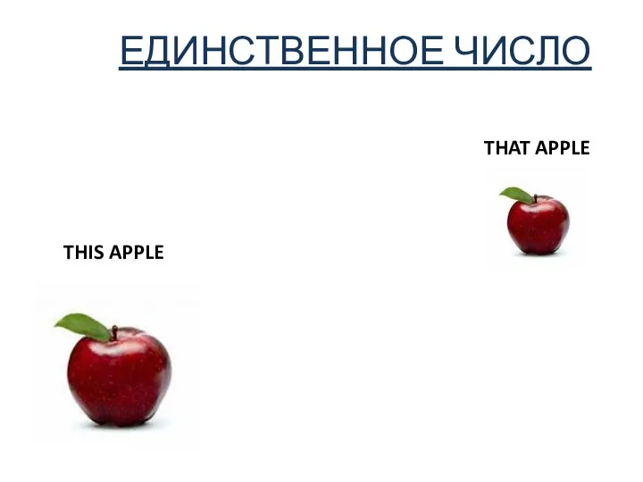 ЕДИНСТВЕННОЕ ЧИСЛО THIS APPLE THAT APPLE