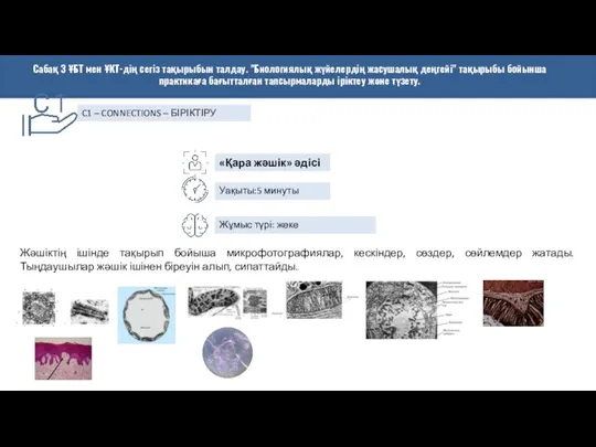 Сабақ 3 ҰБТ мен ҰКТ-дің сегіз тақырыбын талдау. "Биологиялық жүйелердің жасушалық