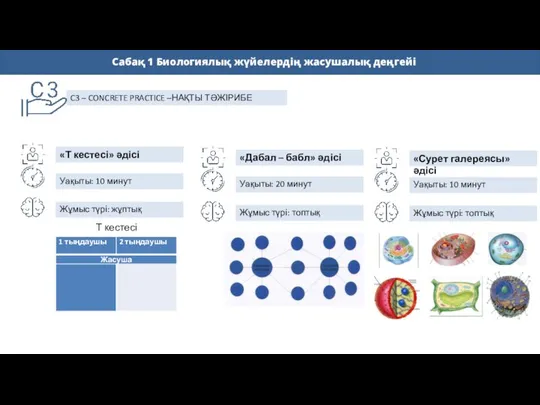 C3 – CONCRETE PRACTICE –НАҚТЫ ТӘЖІРИБЕ «Дабал – бабл» әдісі Уақыты: