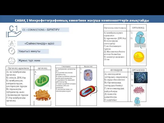 САБАҚ 2 Микрофотографияның көмегімен жасуша компоненттерін анықтайды C1 – CONNECTIONS –