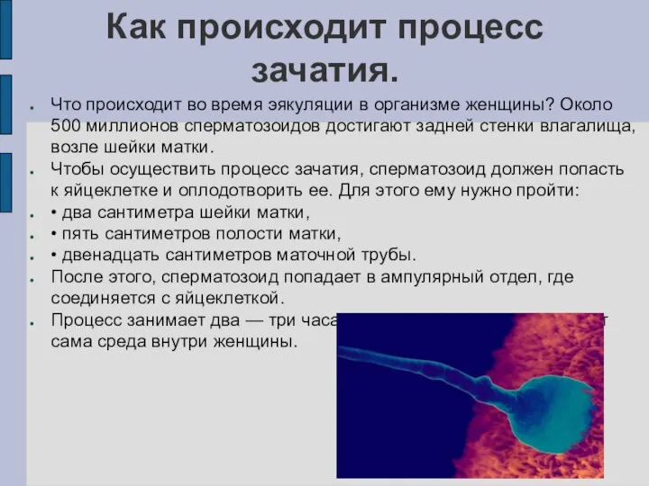 Как происходит процесс зачатия. Что происходит во время эякуляции в организме