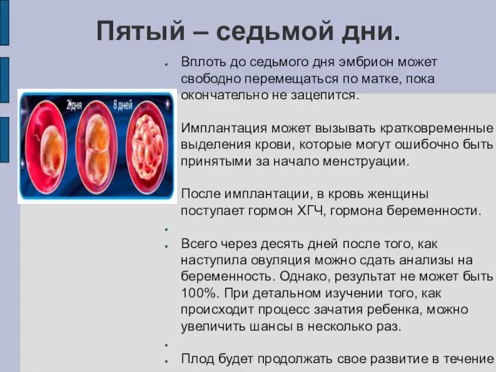 Пятый – седьмой дни. Вплоть до седьмого дня эмбрион может свободно