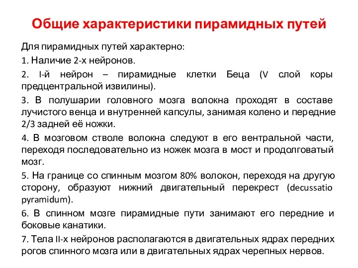 Общие характеристики пирамидных путей Для пирамидных путей характерно: 1. Наличие 2-х