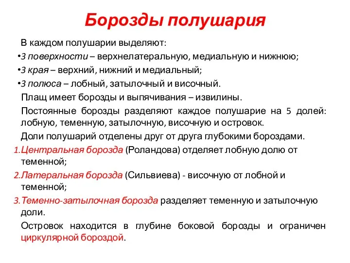 Борозды полушария В каждом полушарии выделяют: 3 поверхности – верхнелатеральную, медиальную