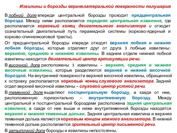 В лобной доле впереди центральной борозды проходит предцентральная борозда. Между ними