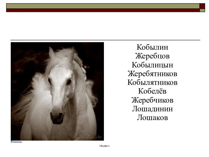 «Лошадиная фамилия» Кобылин Жеребцов Кобылицын Жеребятников Кобылятников Кобелёв Жеребчиков Лошадинин Лошаков