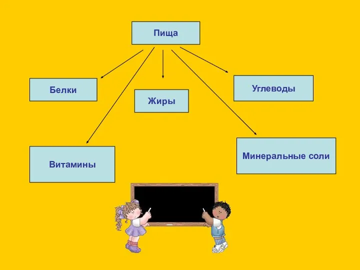 Пища Белки Жиры Углеводы Витамины Минеральные соли