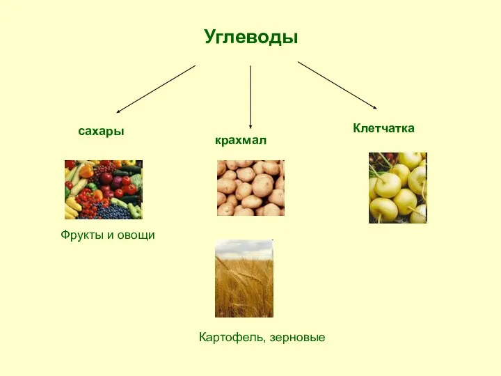 Углеводы сахары крахмал Клетчатка Фрукты и овощи Картофель, зерновые