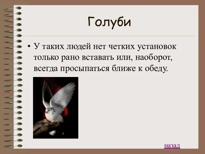 Голуби У таких людей нет четких установок только рано вставать или,