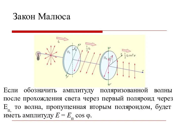 Закон Малюса Если обозначить амплитуду поляризованной волны после прохождения света через