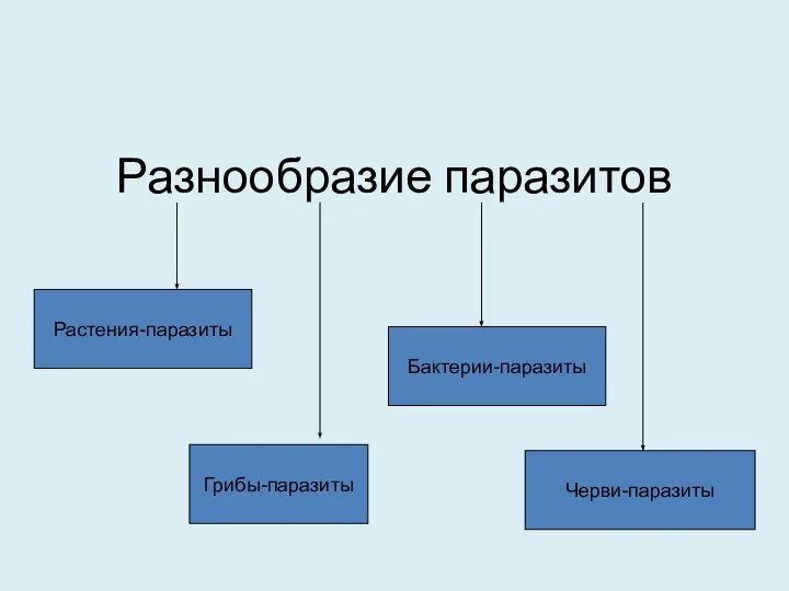 Разнообразие паразитов Растения-паразиты Грибы-паразиты Бактерии-паразиты Черви-паразиты