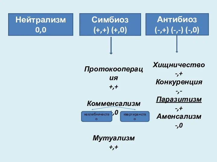 Нейтрализм 0,0 Симбиоз (+,+) (+,0) Антибиоз (-,+) (-,-) (-,0) Хищничество -,+