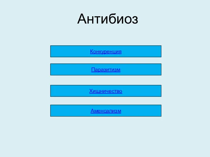 Антибиоз Конкуренция Аменсализм Паразитизм Хищничество