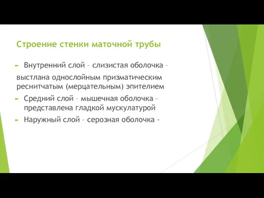 Строение стенки маточной трубы Внутренний слой – слизистая оболочка – выстлана