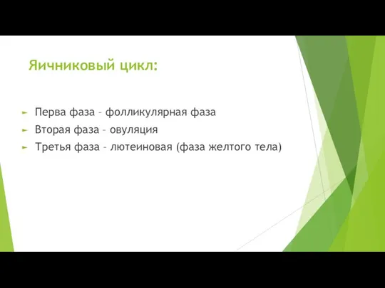 Яичниковый цикл: Перва фаза – фолликулярная фаза Вторая фаза – овуляция