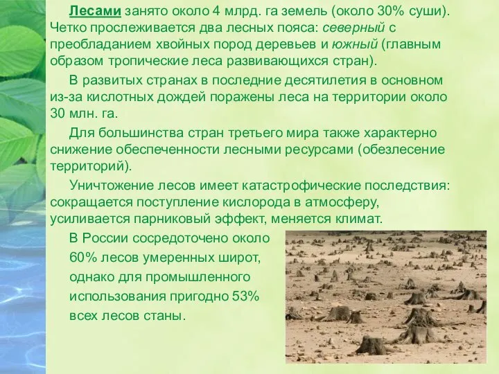 Лесами занято около 4 млрд. га земель (около 30% суши). Четко