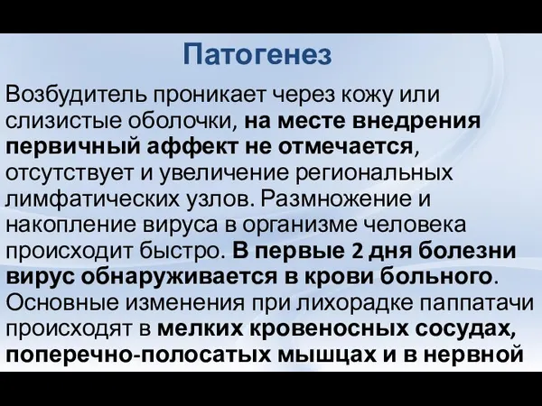 Возбудитель проникает через кожу или слизистые оболочки, на месте внедрения первичный