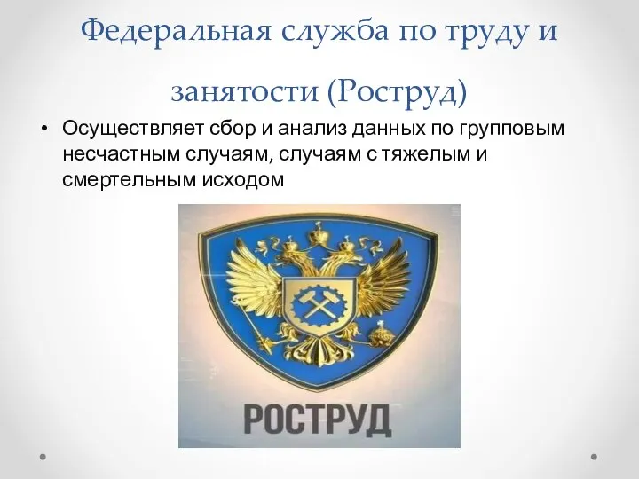 Федеральная служба по труду и занятости (Роструд) Осуществляет сбор и анализ