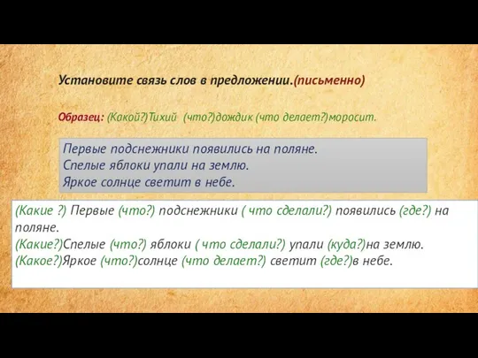 Установите связь слов в предложении.(письменно) Образец: (Какой?)Тихий (что?)дождик (что делает?)моросит. Первые