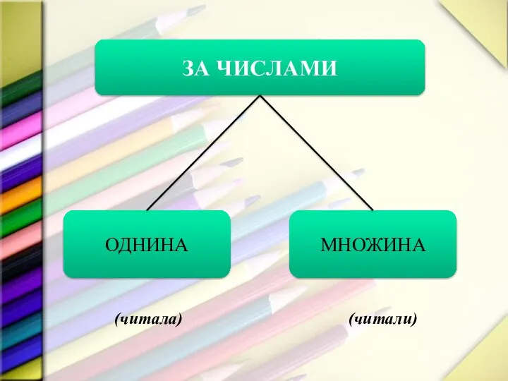 ЗА ЧИСЛАМИ ОДНИНА МНОЖИНА (читала) (читали)