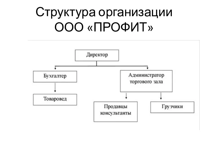 Структура организации ООО «ПРОФИТ»