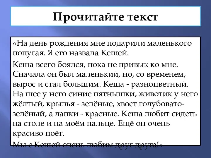 Прочитайте текст «На день рождения мне подарили маленького попугая. Я его