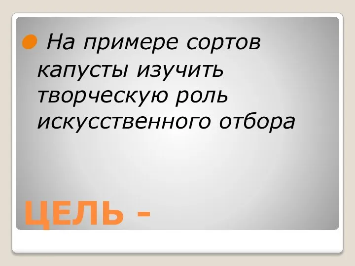 ЦЕЛЬ - На примере сортов капусты изучить творческую роль искусственного отбора