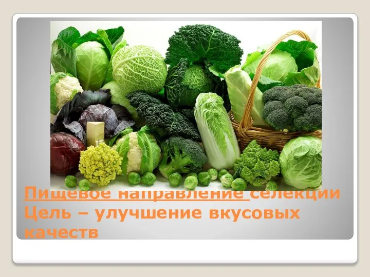 Пищевое направление селекции Цель – улучшение вкусовых качеств