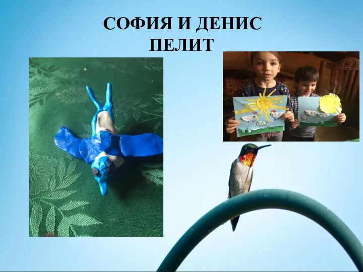 СОФИЯ И ДЕНИС ПЕЛИТ