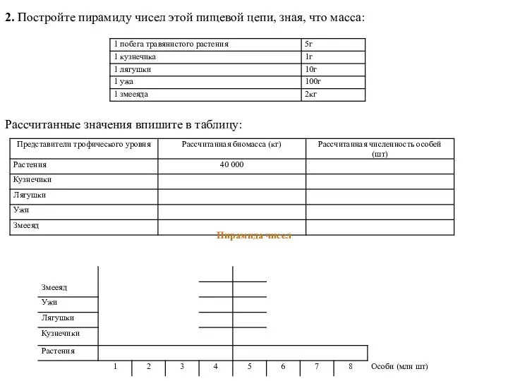 2. Постройте пирамиду чисел этой пищевой цепи, зная, что масса: Рассчитанные