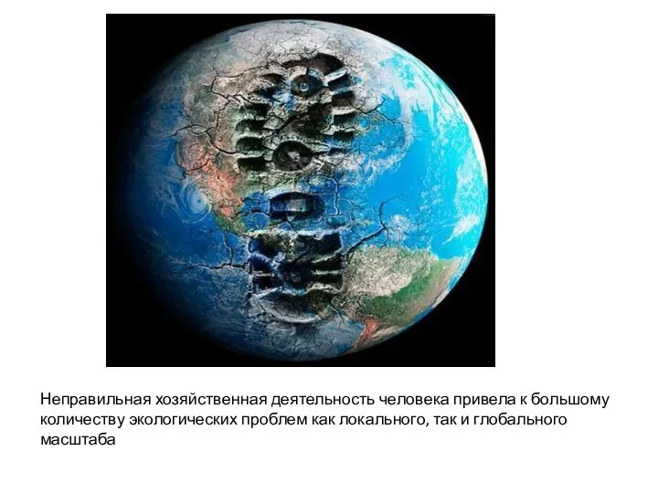 Неправильная хозяйственная деятельность человека привела к большому количеству экологических проблем как локального, так и глобального масштаба